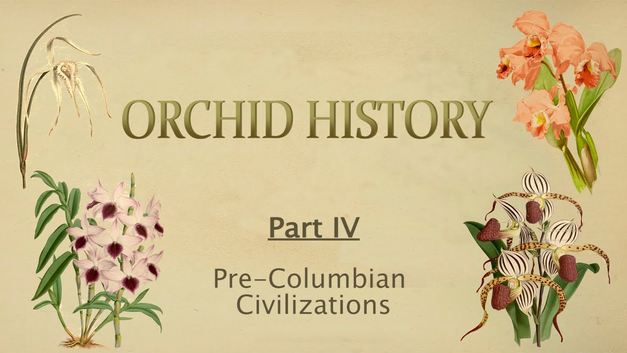 Orchid History // Part IV  - Pre-Columbian Era (Mayans, Aztecs, Incas)
