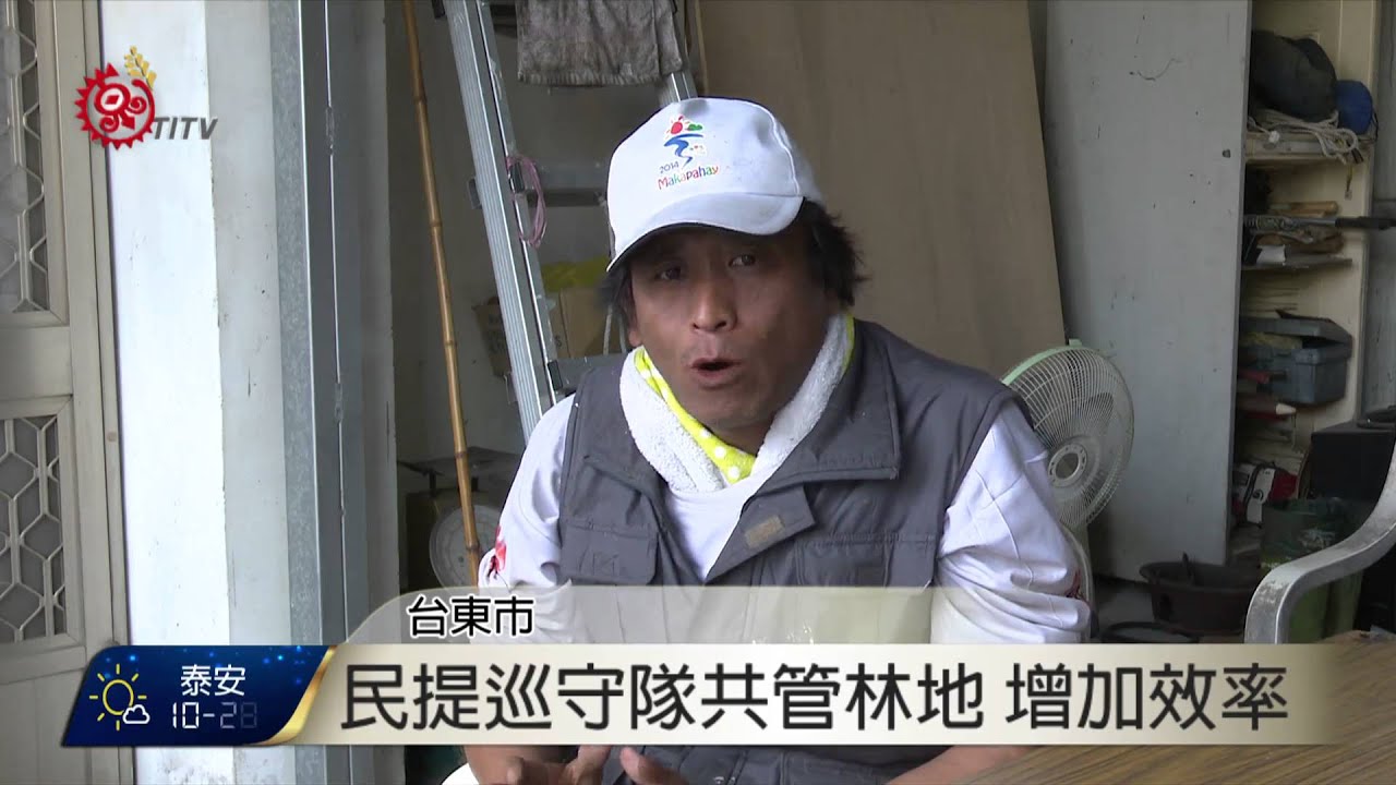 射馬干百年牛樟遭盜伐 林管處逮2嫌 2016-03-02 TITV 原視新聞