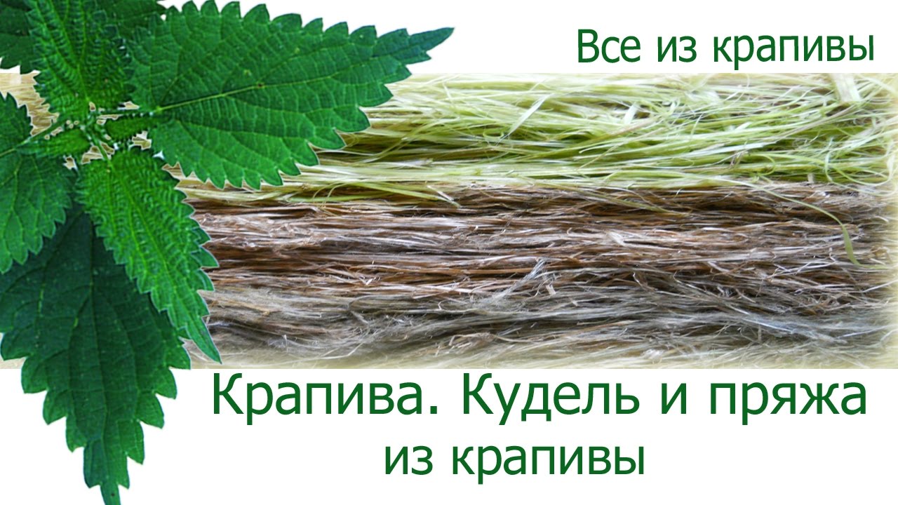 Крапива. Кудель и пряжа из крапивы. Крапивные изделия. Все из крапивы.