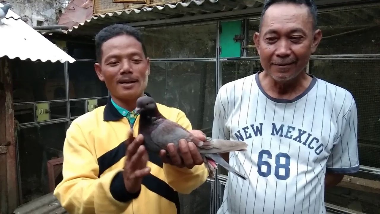 Berbagi trah asli Queen pekalongan