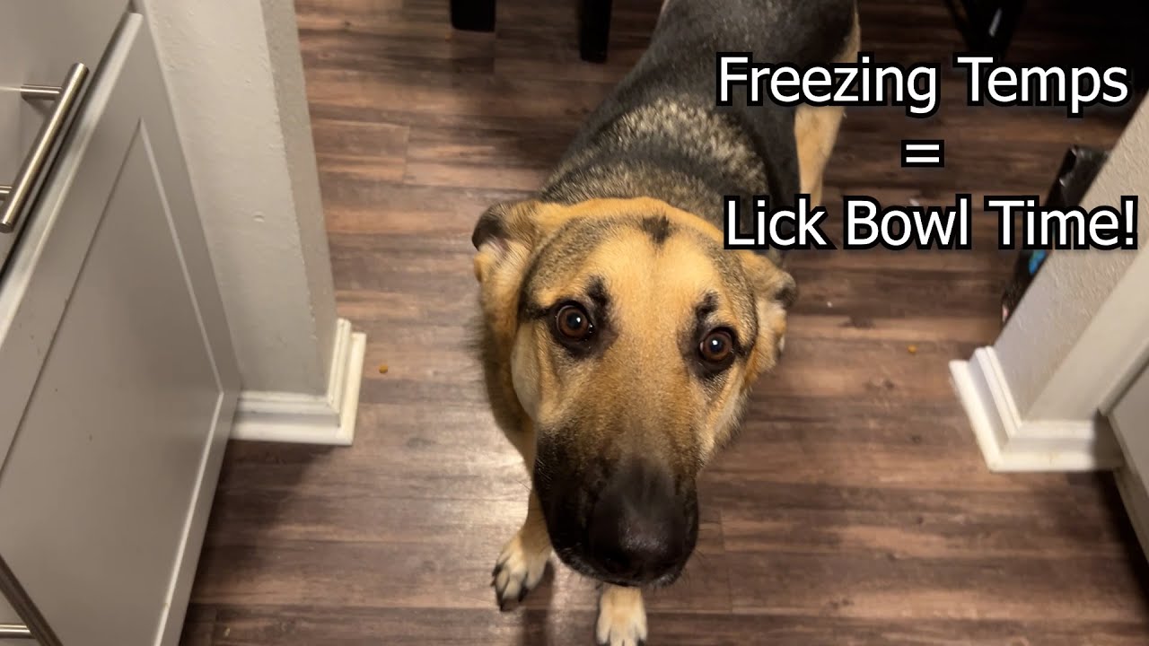 Big Plans Ahead: Lick Bowls, Life Prep, & the 24th!