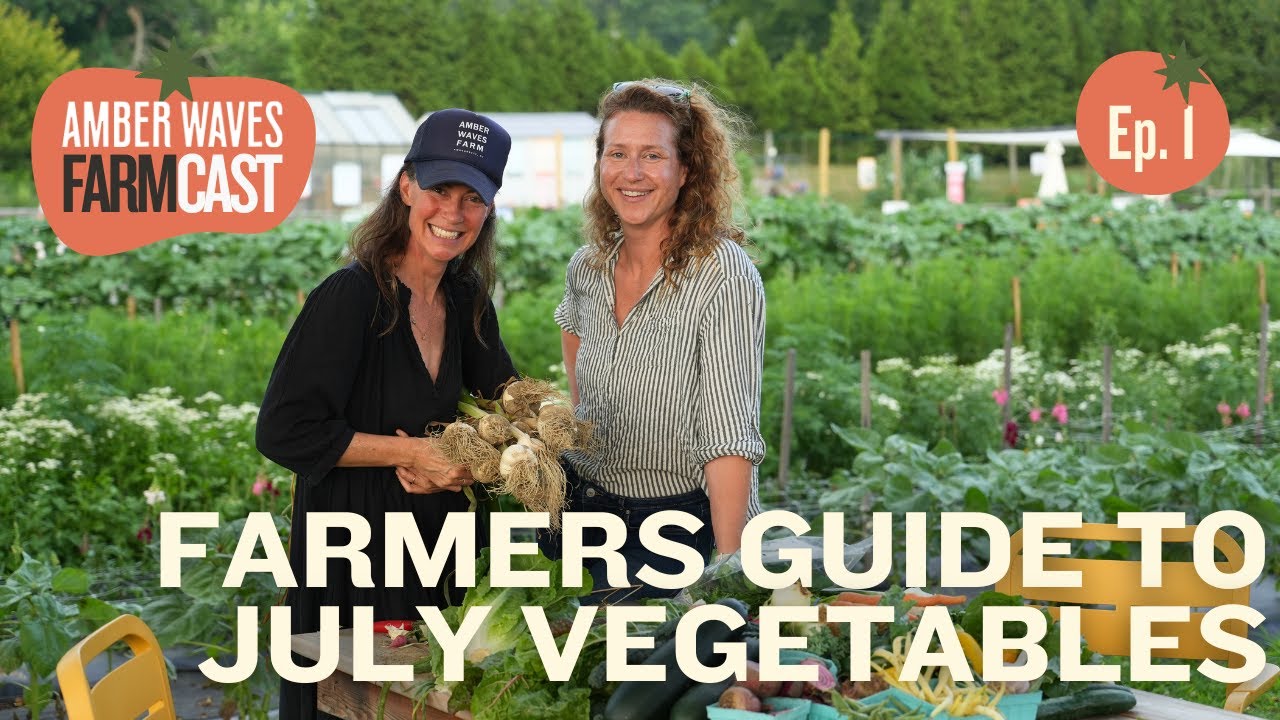 EP:01 Farmers Guide to July Produce