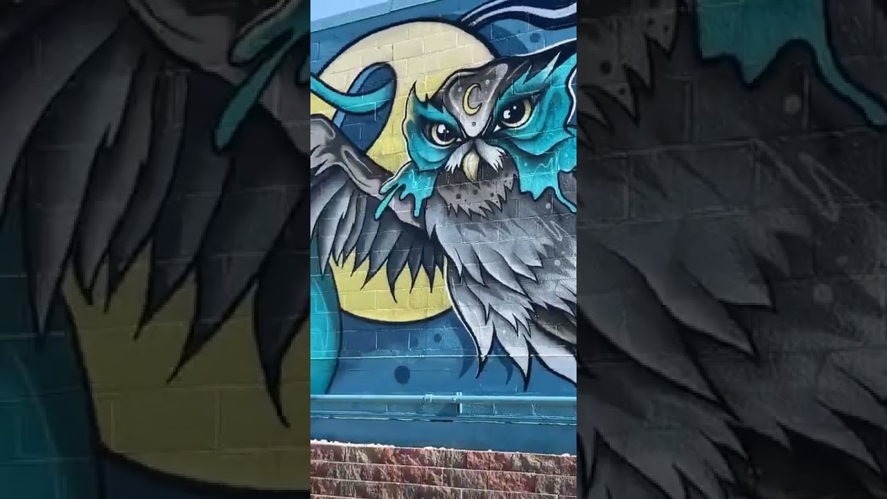 #owls #denverart