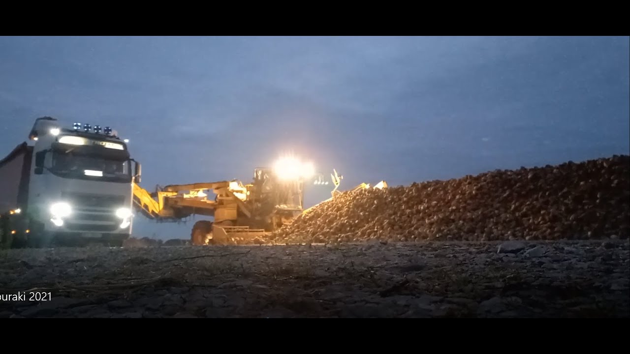 Odbiór Buraków Cukrowych 2021!!