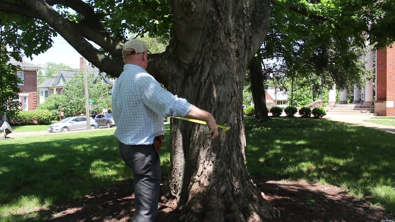 How to Calculate the Root Zone