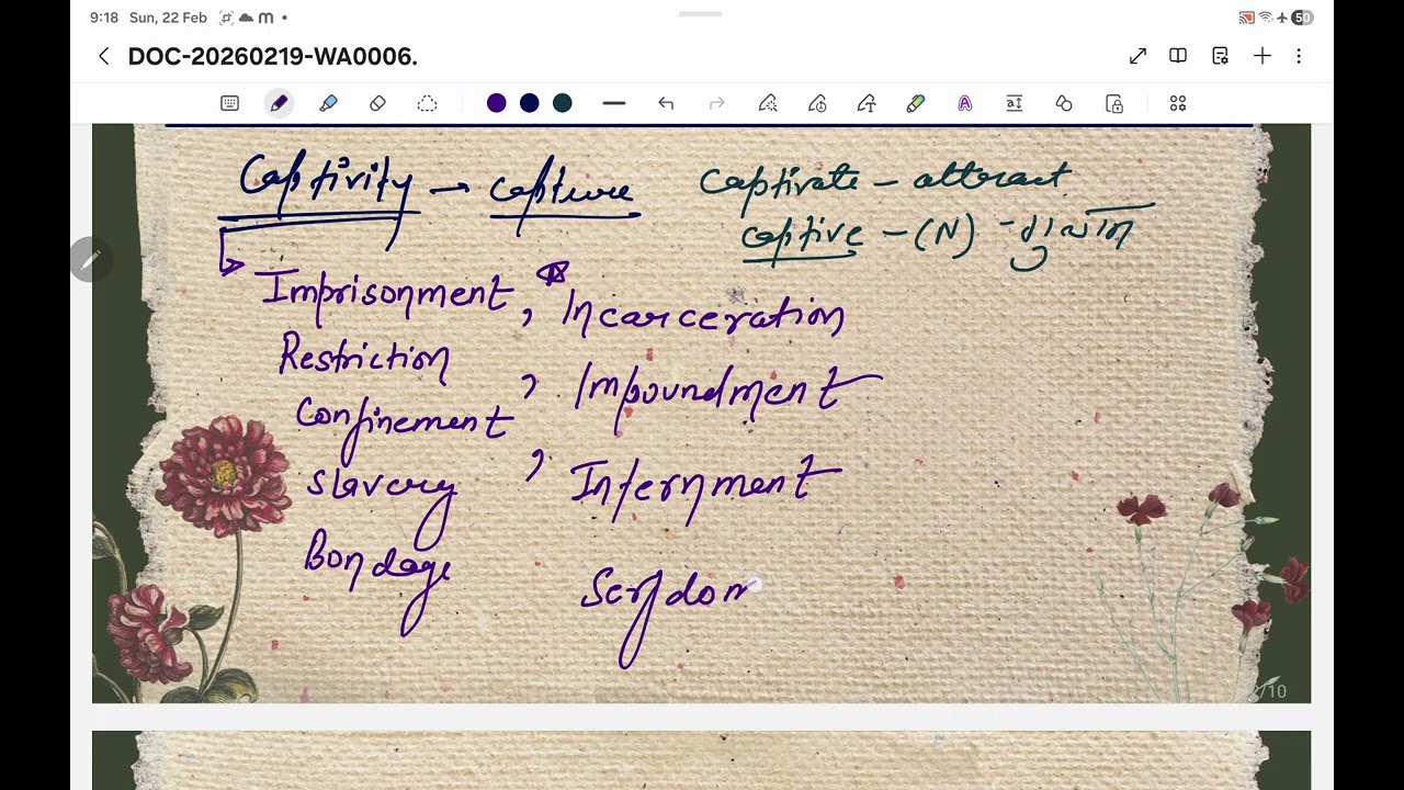 Captivity, Mnemonics part 2