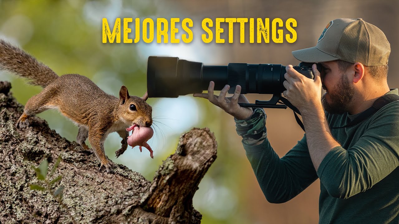 Las MEJORES Configuraciones de camara para fotografía de vida salvaje