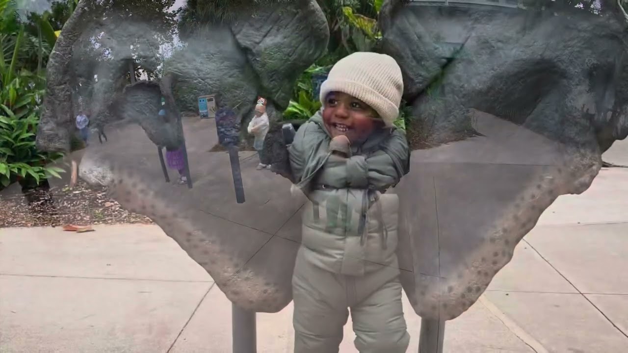 Birthday 🎈 #2025  Houston Zoo