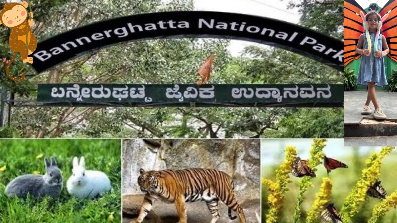 Bannerghatta Zoological and Butterflies Park Bangaluru | ಬನ್ನೇರುಘಟ್ಟ ಜೈವಿಕ ಉದ್ಯಾನವನ ಬೆಂಗಳೂರು 