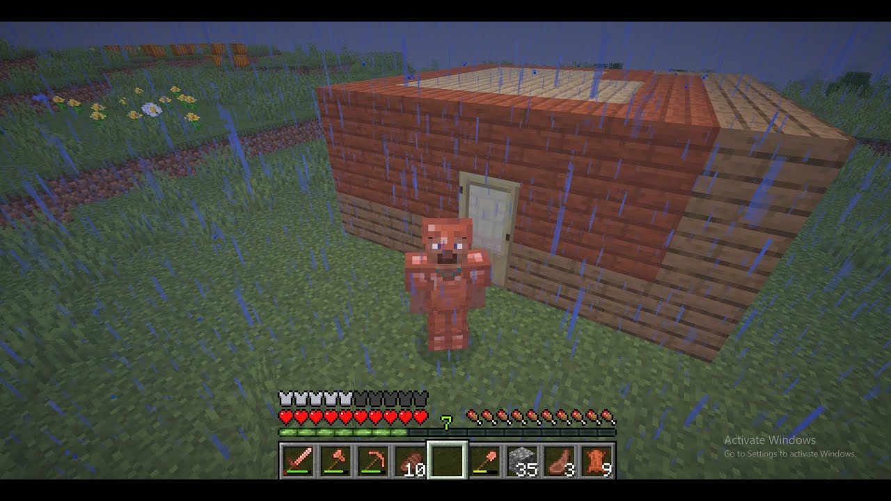 1# minecraft preživljavanje