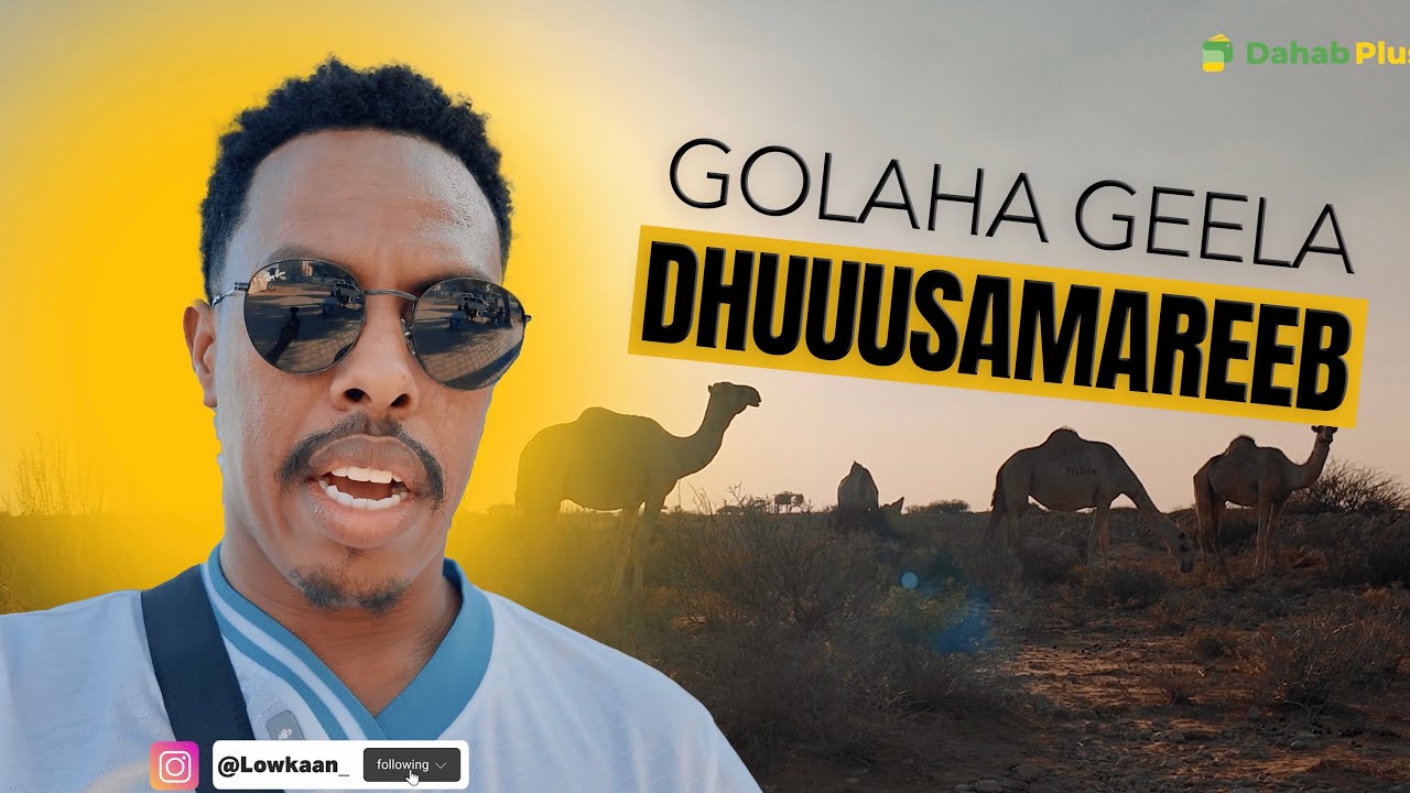 Golaha Geella ee Dhuusamareeb |Dhumareb camel council|. 