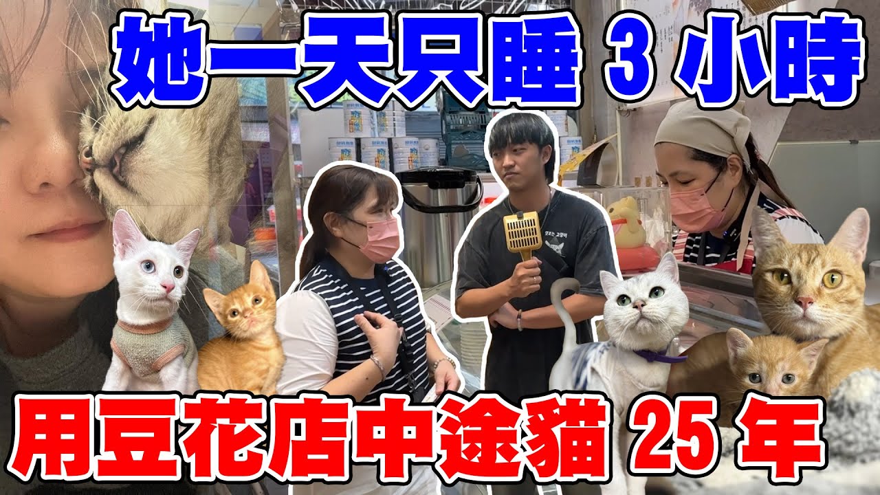 她一天只睡3小時，用豆花店照顧中途貓25年！【無聲的毛孩英雄-ep5】