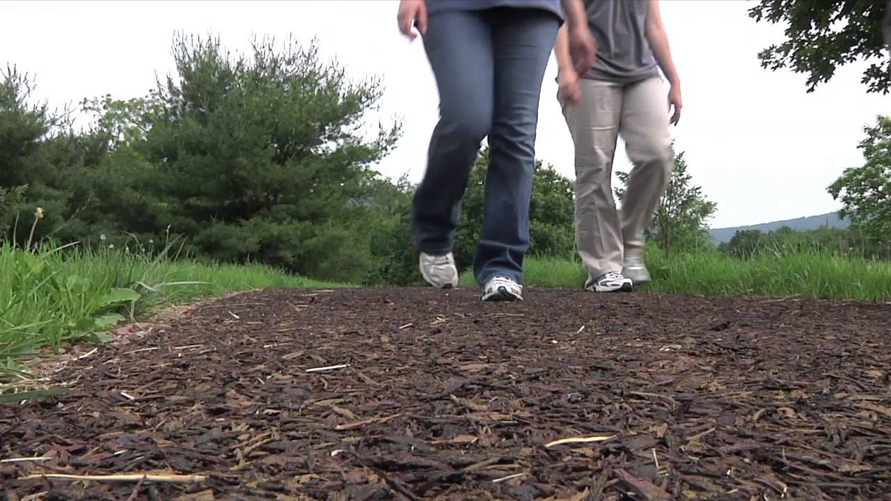 Greenside Pathway at Raystown Lake - USACE Recreation
