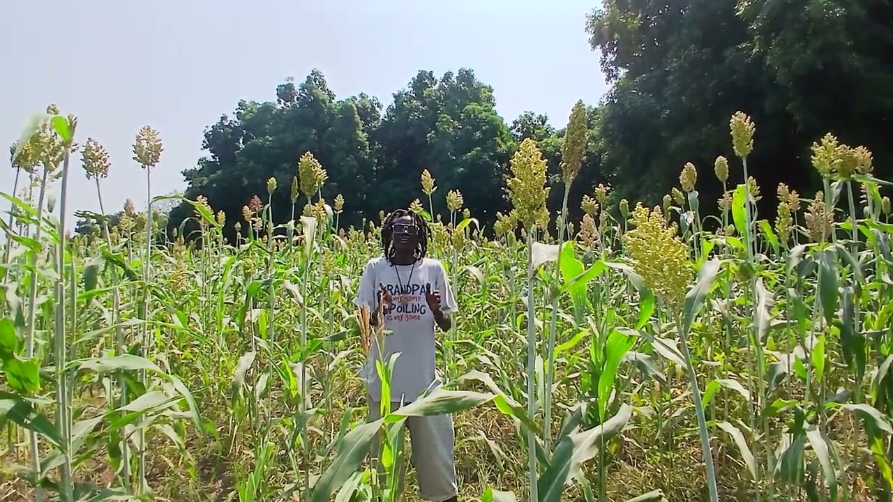 Tungkernyang agricultural development association 