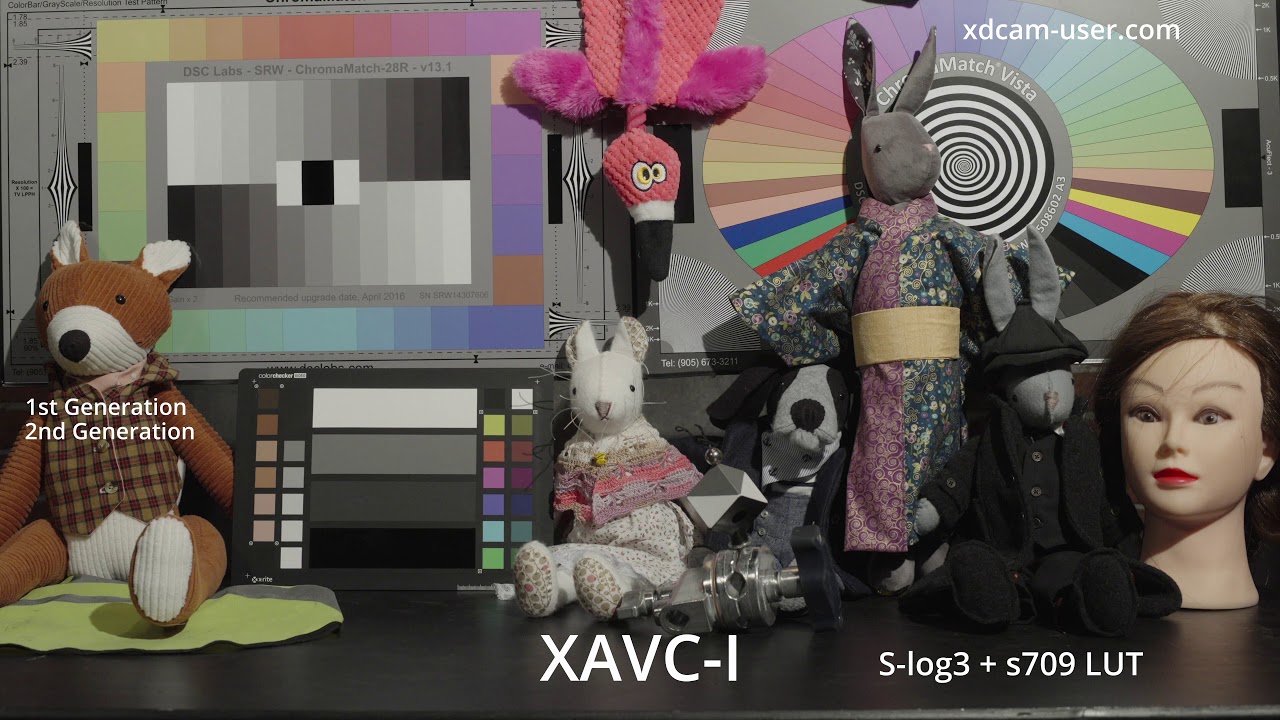 XAVC-I v ProResHQ. Just how good is XAVC-I?