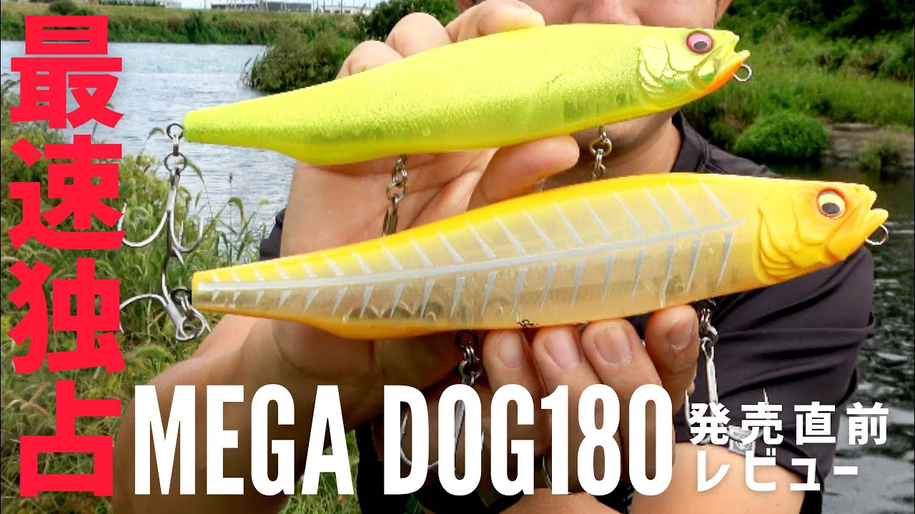 【発売前】メガドッグ180と220を徹底的に比べて投げてみた【アクション動画】