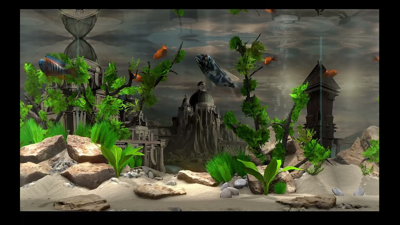 AQUARIUM / FISHTANK IDEAS - ultimate virtual fishtank