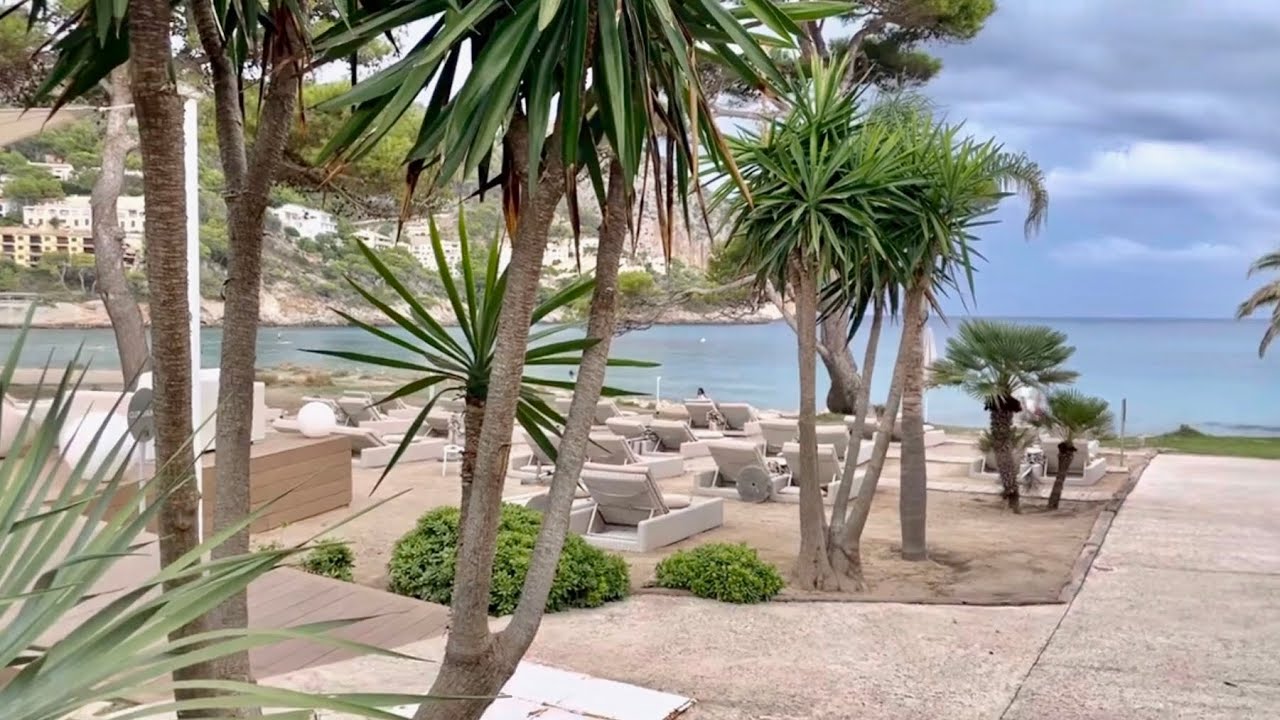 Platja de Canyamel 💚 Ostküste Mallorca 🇪🇸 kleine Bucht 🏖 Herbst Urlaub 💚 was ist hier los ? 🌴