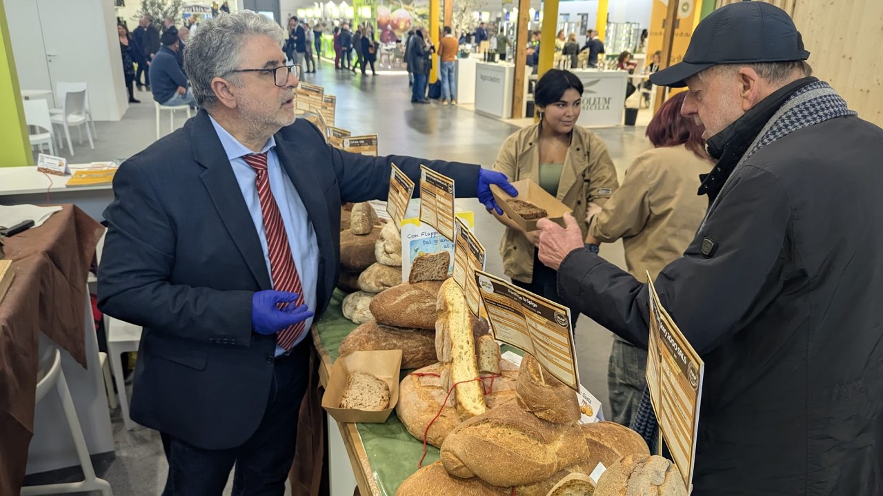 SolExpo Verona: Il Pane che Svela l'Olio