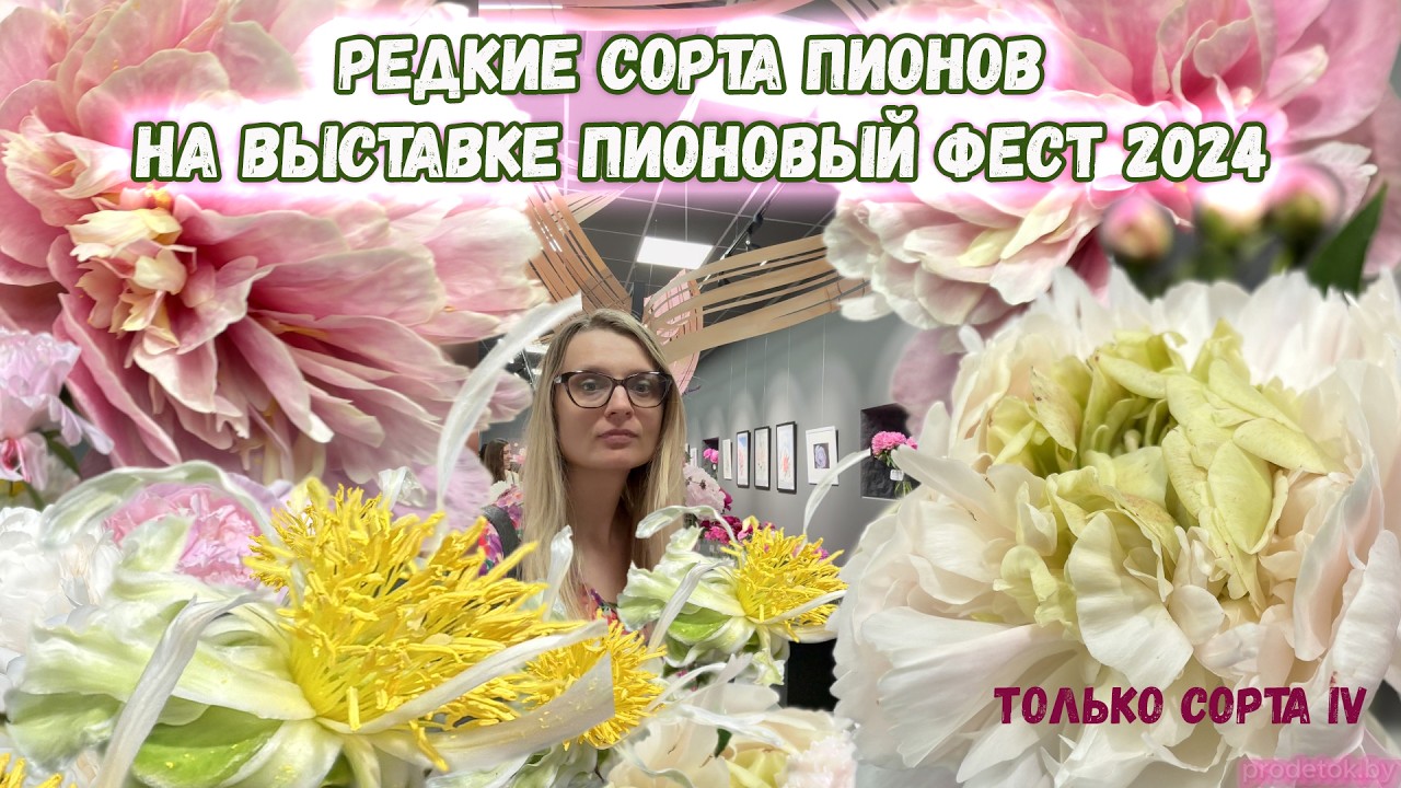 Редкие сорта пионов на выставке Пионовый фест 2024