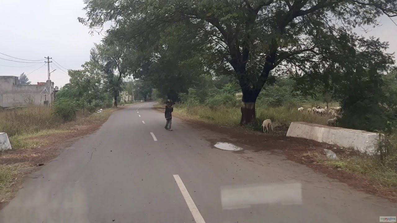 Maroli a Beautiful Village in Gujarat 2