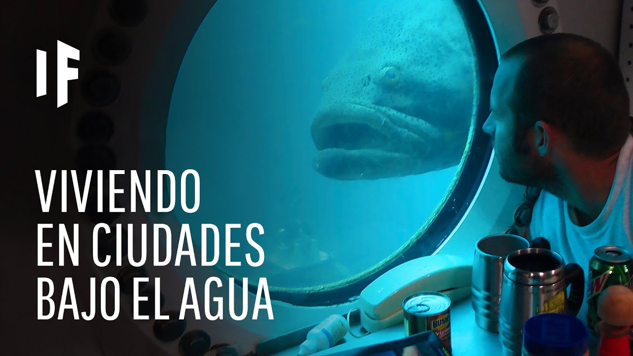&iquest;Qu&eacute; pasar&iacute;a si vivi&eacute;ramos en ciudades subacu&aacute;ticas?