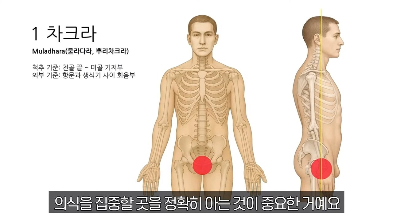 차크라 위치 총정리┃7차크라 열림과 명상의 모든 것