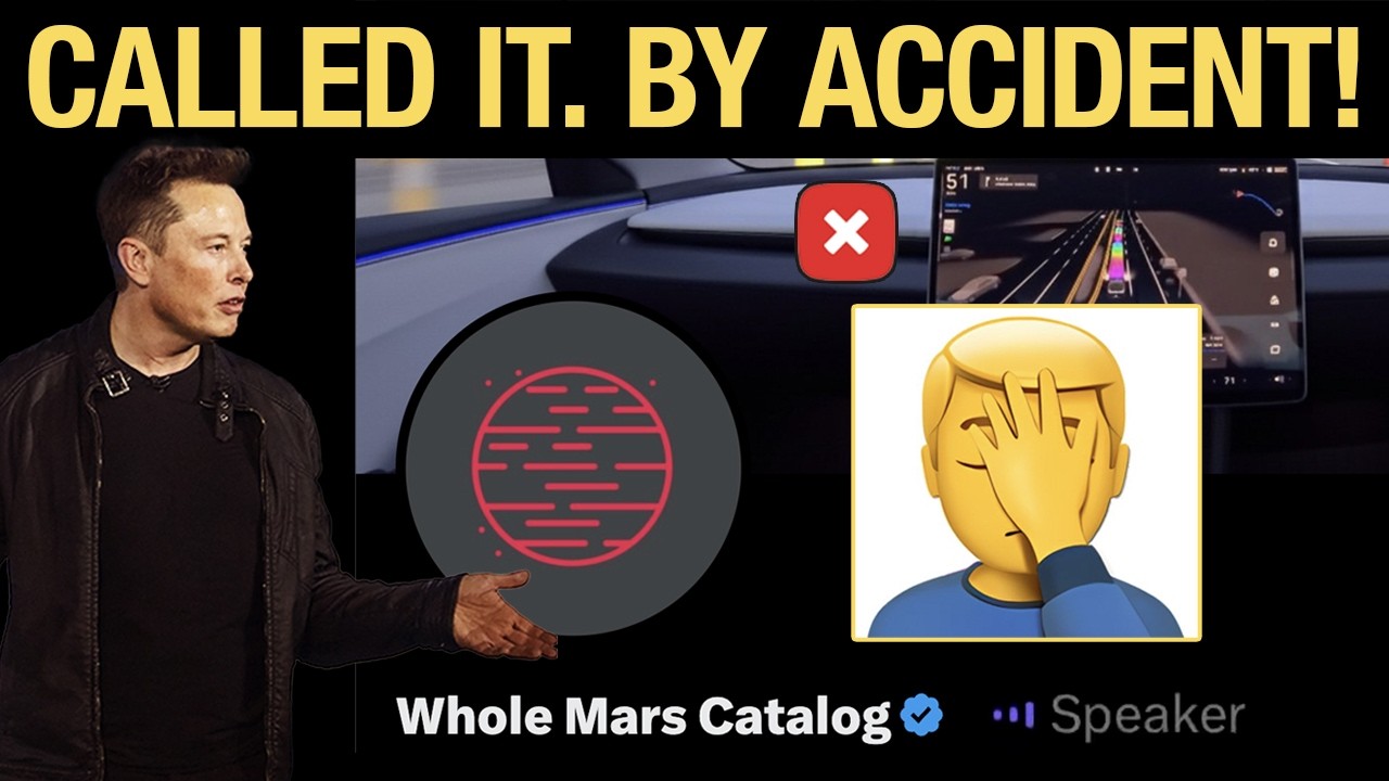 How 'Elongelical' Influencer Accidentally Predicted Robotaxi Fail