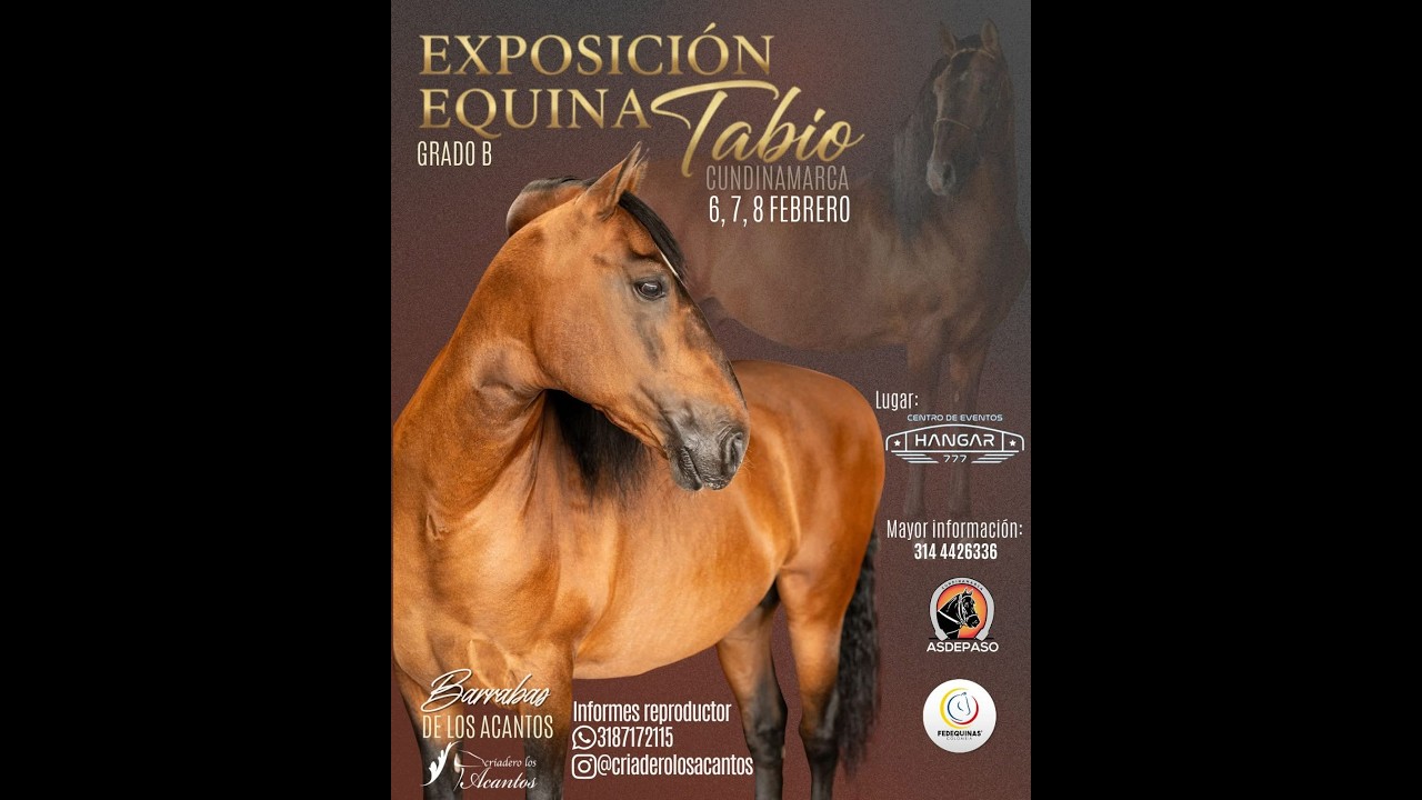 EXPOSICIÓN EQUINA ASDEPASO - TABIO - GRADO B día 2