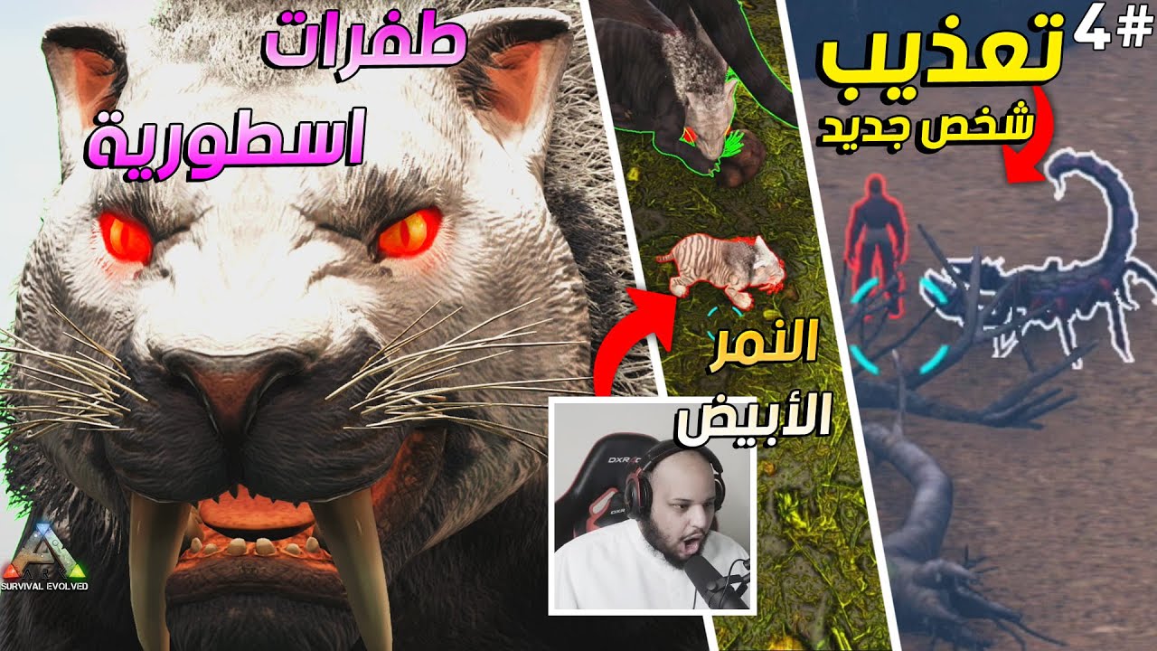 ارك مودد | 😂 تعذيب وضحك🦞🏃🏼 - ترويض سايبر توث الفا 🦁 - طفرات حلوة مره 😱 - وهدية من عثمان 😍 | ARK Modd