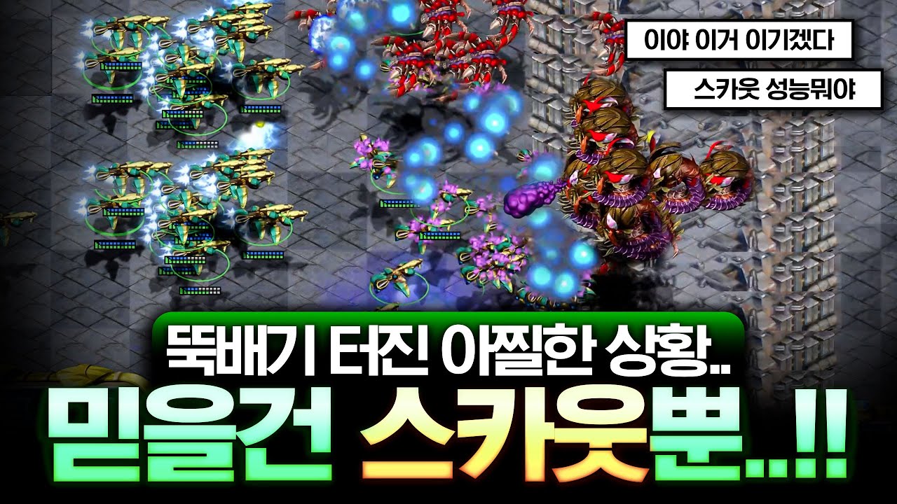 『 하늘의 왕자 스카웃! 』 위력을 한번 느껴보시겠습니까?