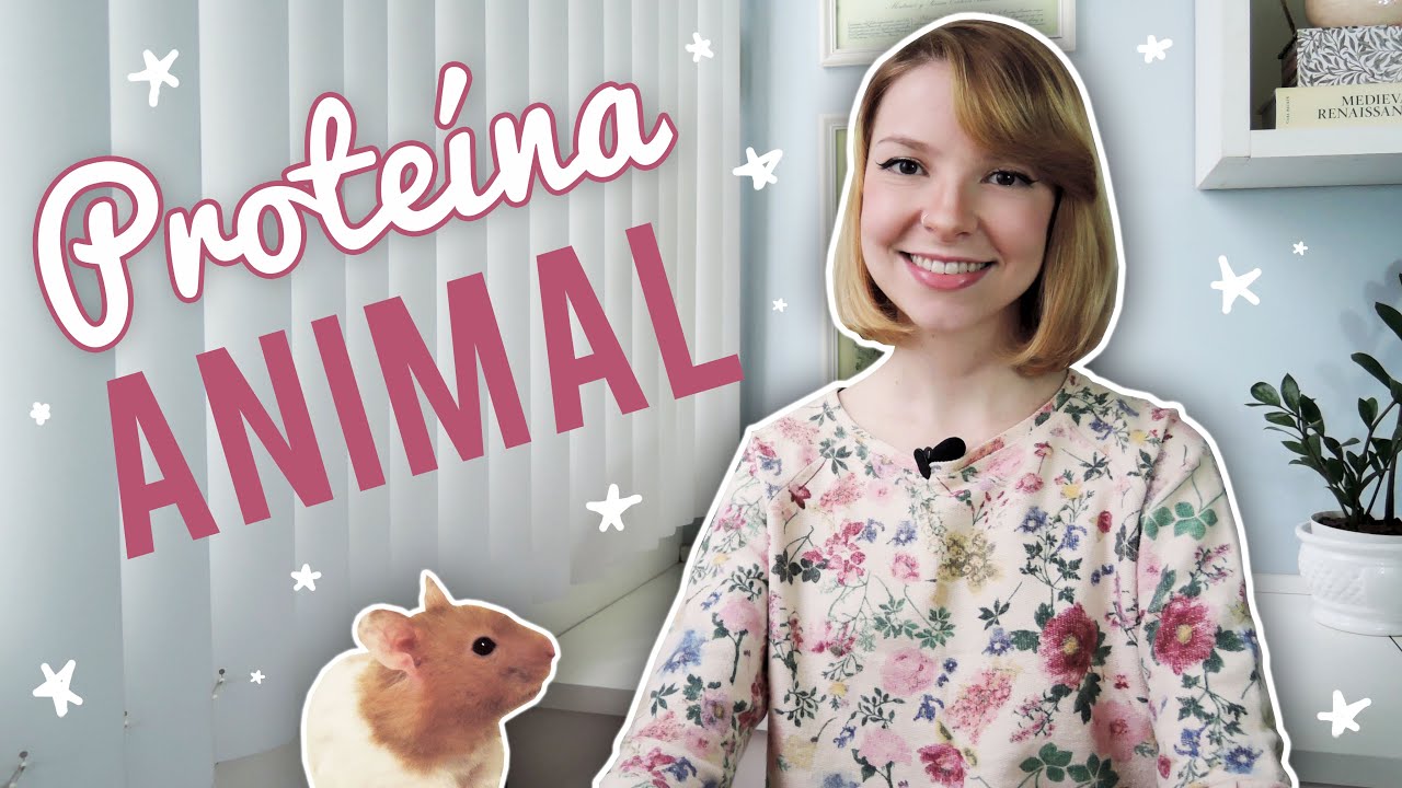 Guia de alimentação para hamsters 🐹 | Proteína animal (Leiam a descrição!)