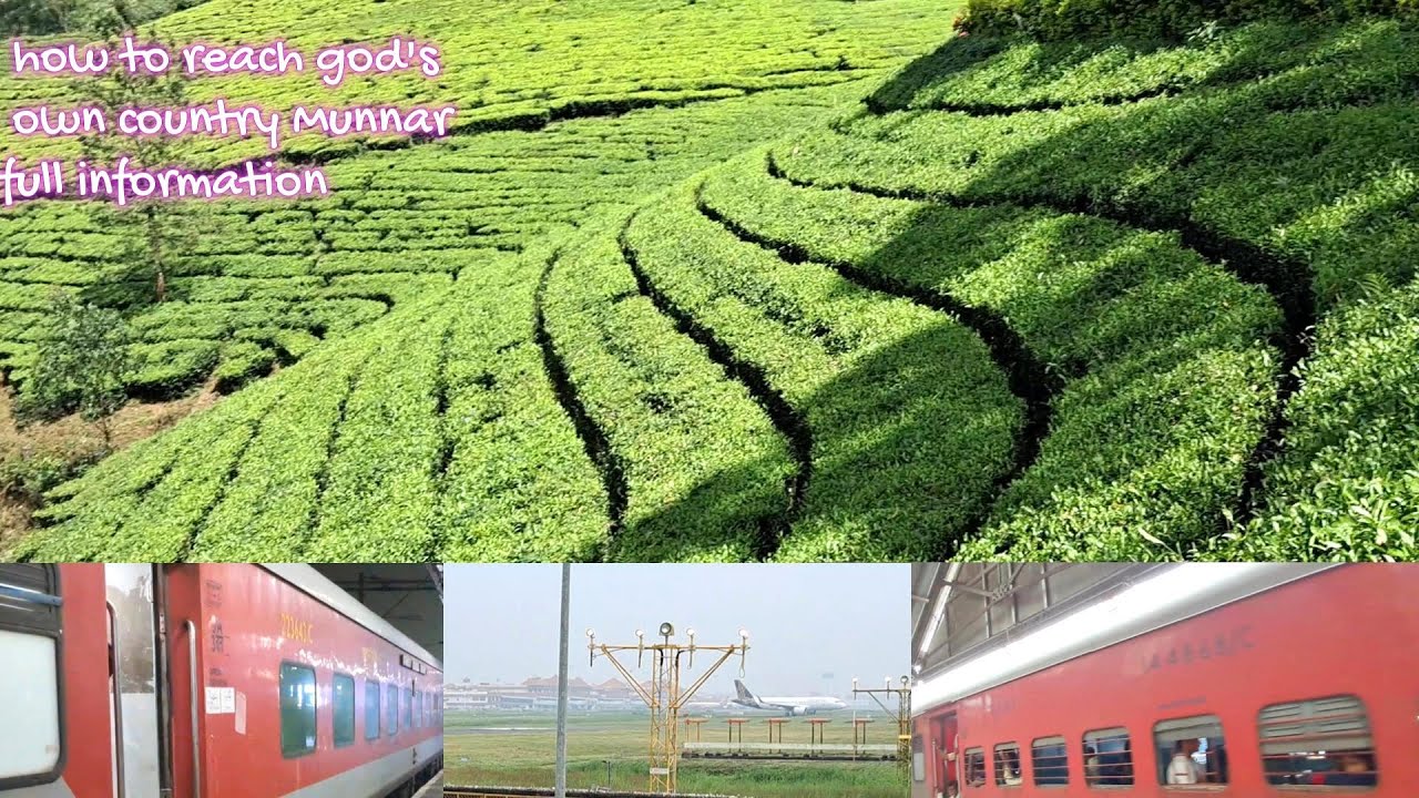 కేరళ మున్నార్ ఎలా  చేరాలి పూర్తి  సమాచారం  how to reach god's own country Munnar