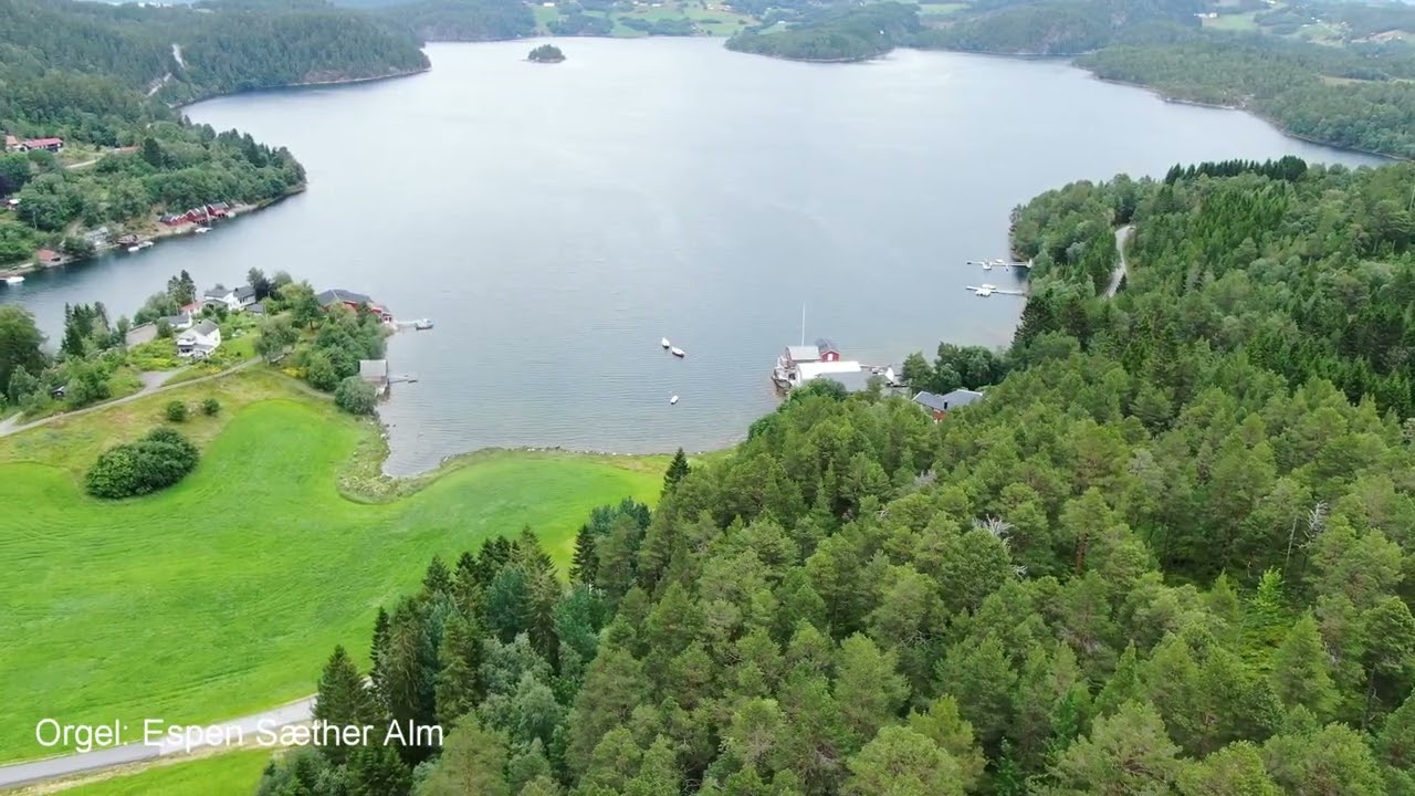 Myran i Faksv&aring;gen