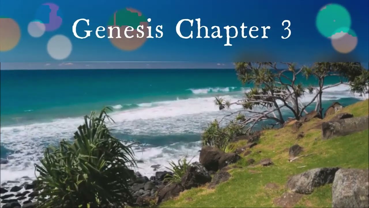 The Book of Genesis Chapter 3 - New King James Version (NKJV) - Audio Bible