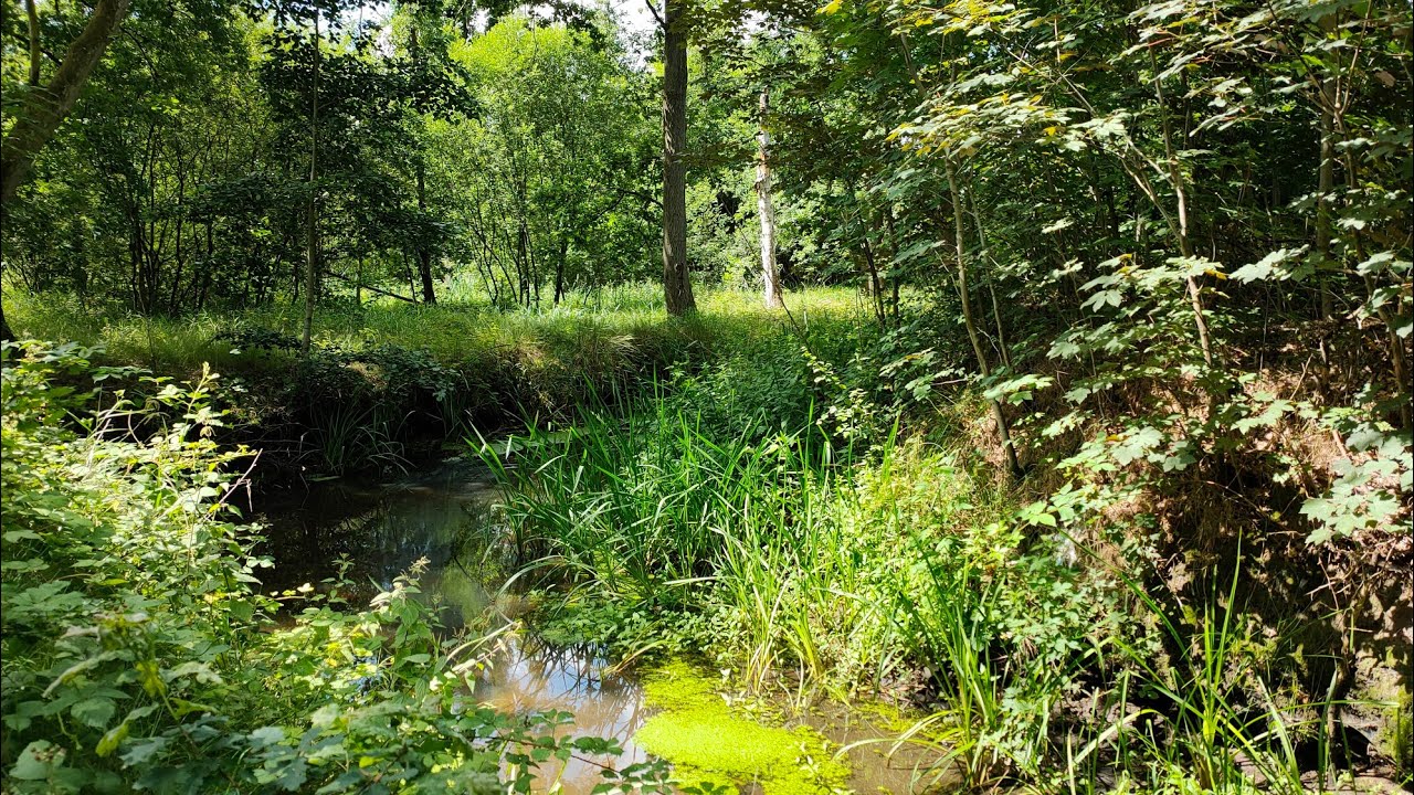 Oud-Turnhout - 9.2km -De Liereman - groene route (8,2/10)