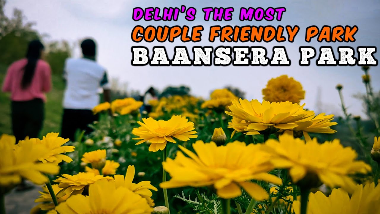 Baansera Park Delhi | Couples Park Baansera Park Delhi | Baansera Bamboo Park | Places to visit