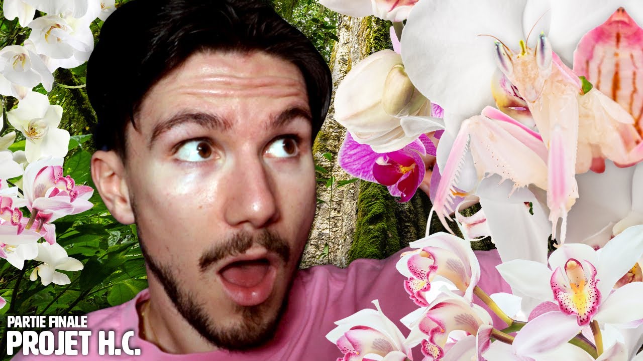 Je reçois ma Mante Orchidée ! (PROJET H.C. : PARTIE FINALE)