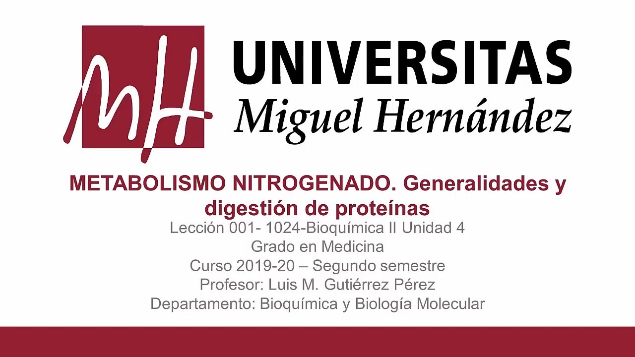 Lec026 Metabolismo nitrogenado. Digesti&oacute;n de prote&iacute;nas (umh1024 2019-2020)