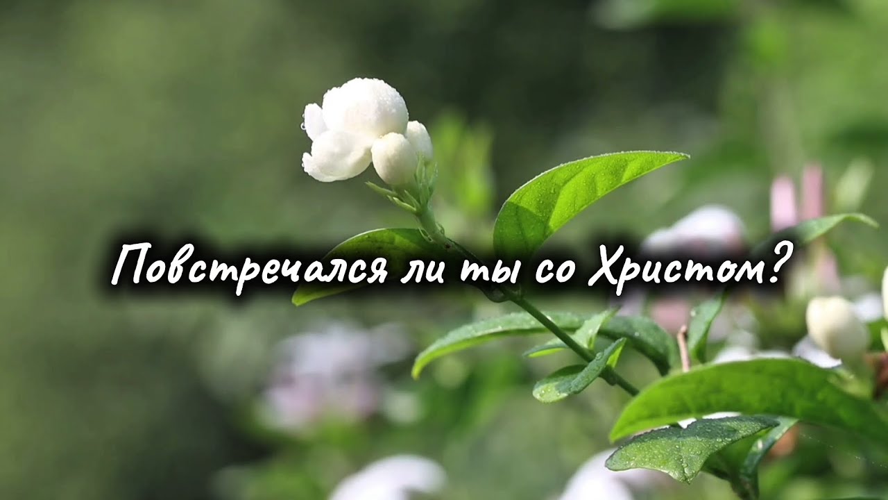 Новая песня: Повстречался ли ты со Христом?