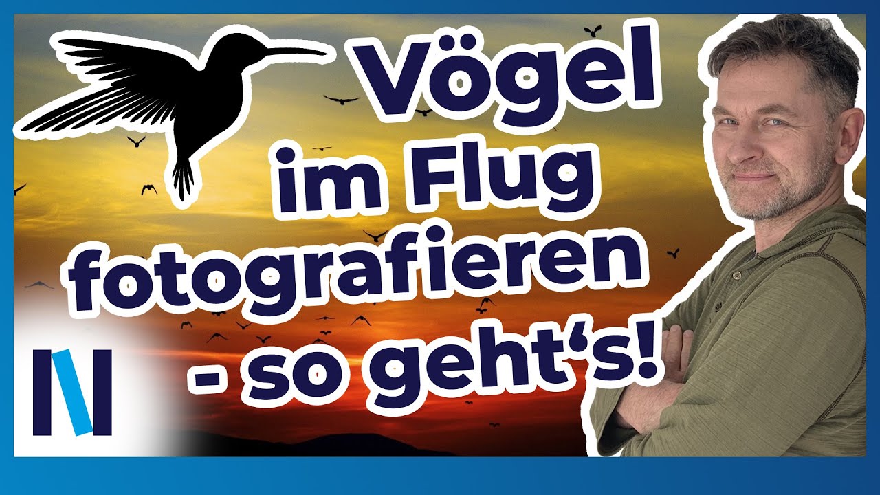 Vogelfotografie: Fliegende Vögel erwischen - kein Problem!
