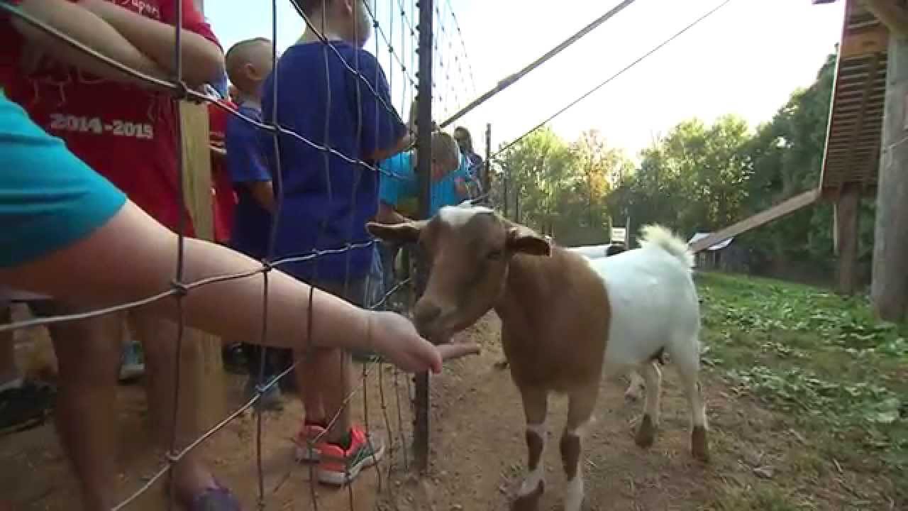 Honeysuckle Hill Farm | Tennessee Crossroads | Episode 2908.1