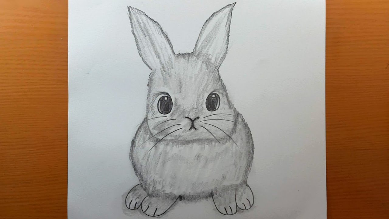 Como desenhar coelho de desenho a lápis fácil Desenho de lápis passo a passo Desenho de animal fácil