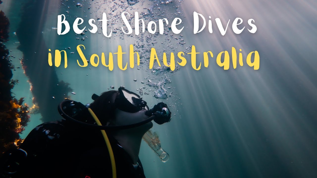 Diving in South Australia: Rapid Bay, Edithburgh and Port Hughes jetty. Filmed with GOPRO HERO10