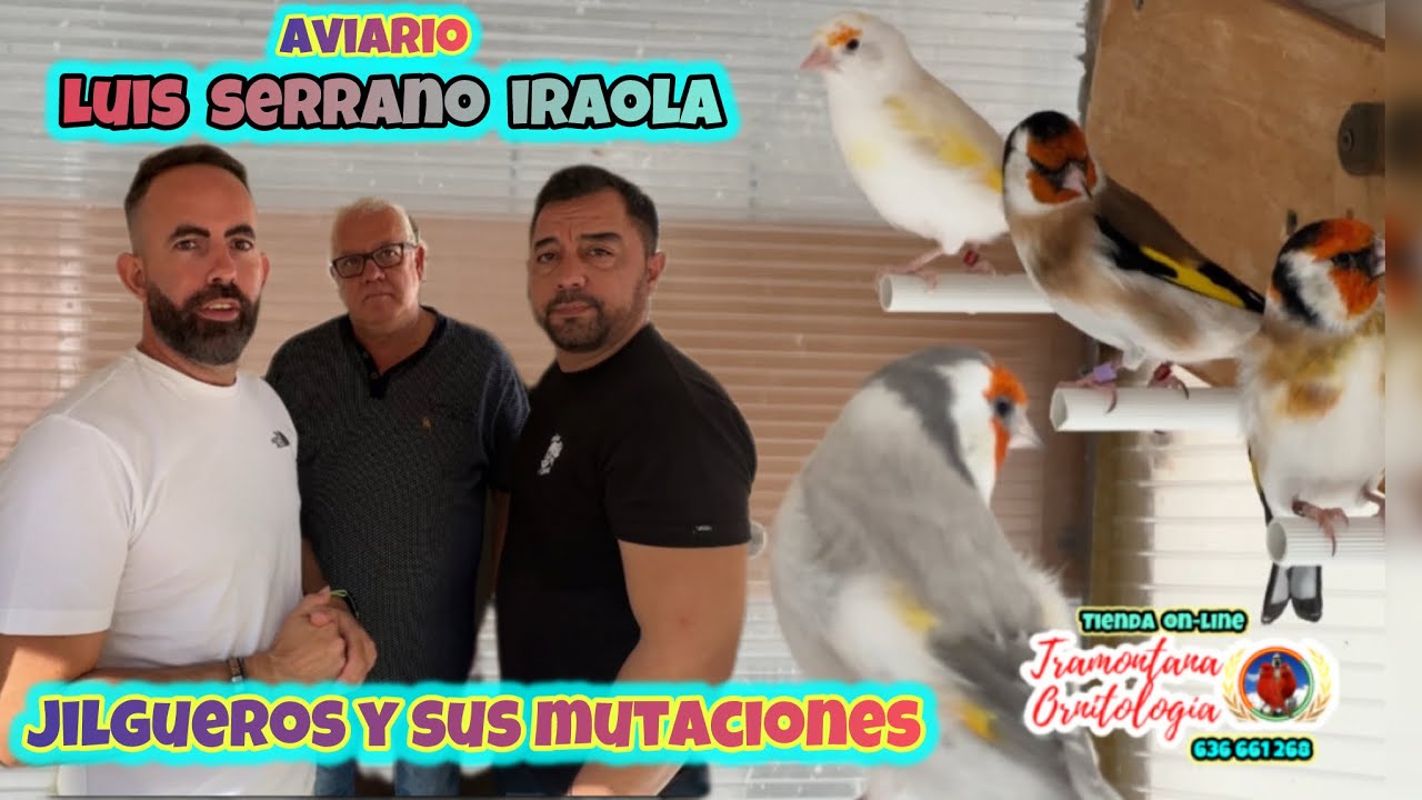 Jilgueros Mutados de Luis Serrano Iraola