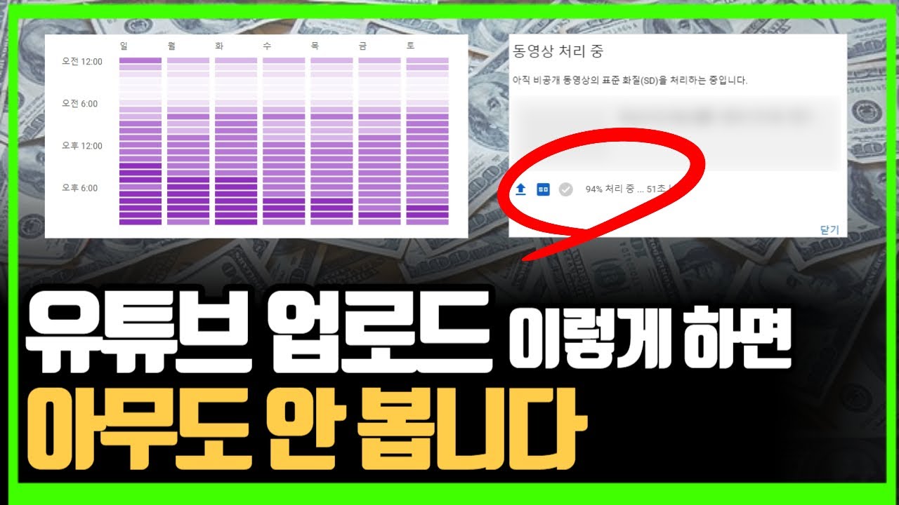 유튜브 조회수가 안나오는 이유 l 영상 업로드 할 때 반드시 '이것'을 확인하세요