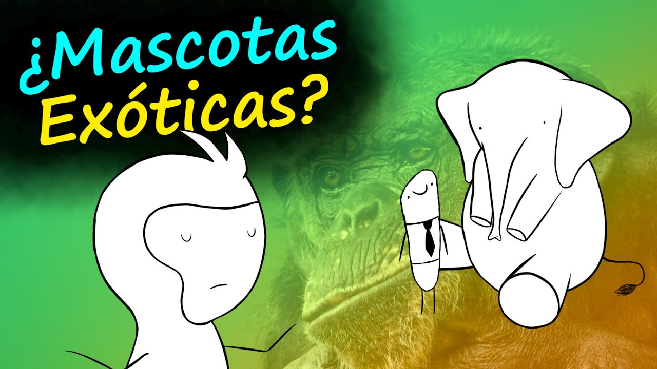 ¿Por qué es mala idea tener mascotas exóticas?