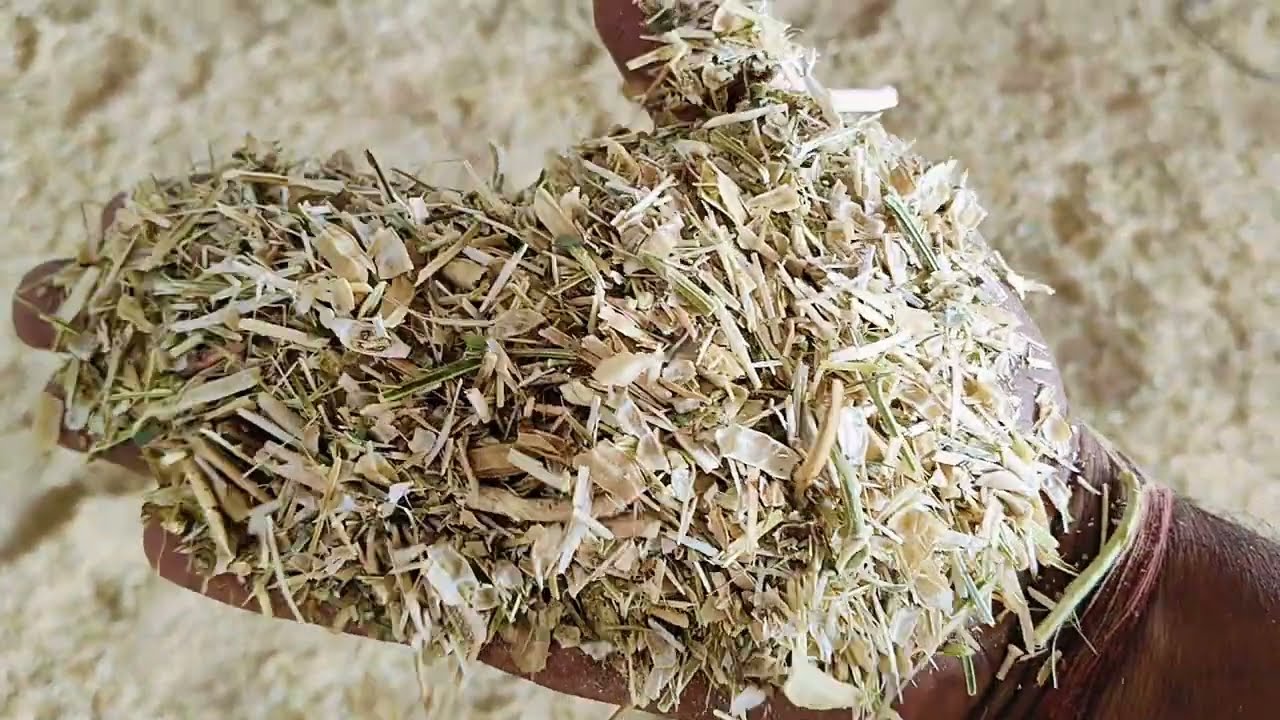 🐐gevar🌾bhusa🐐3 ten m p ke liy lod🚛ho Reha he afi mohen ged boder vala mal