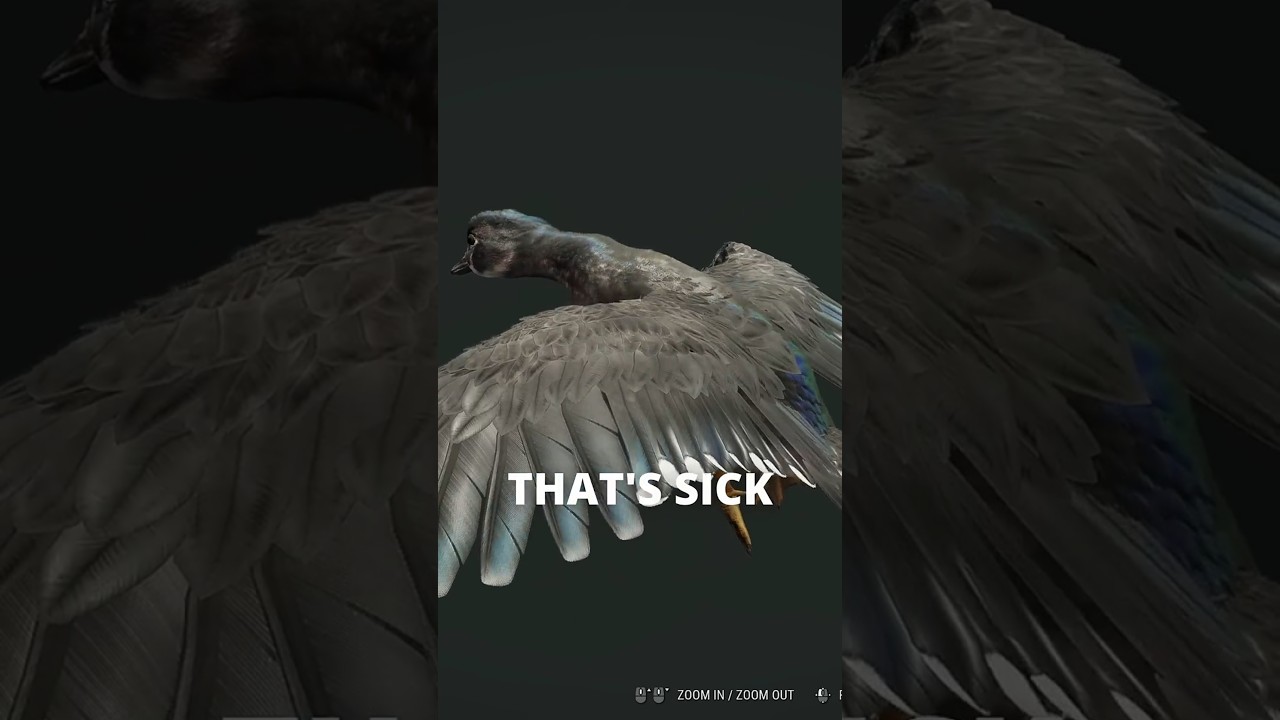 The NEW Wood Ducks look CRAZY 🦆 | theHunter: Call of the Wild