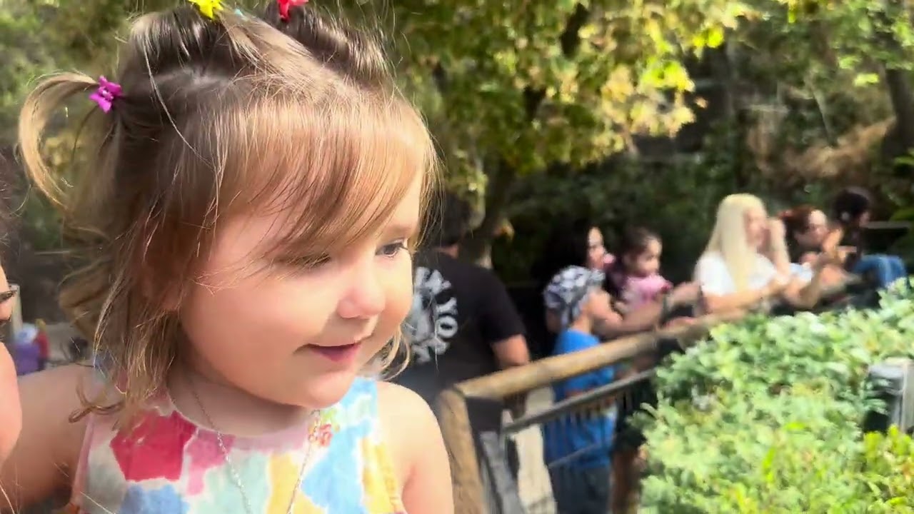 Zoo de Santiago de Chile 🇨🇱 PARQUEMET Un breve recorrido al natural 